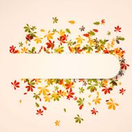 Vector autumn leaves N17