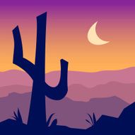 Cactus Silhouette N2