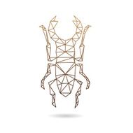 Beetle abstract isolated on a white backgrounds vector illustration N3