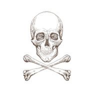 Skull and bones hand drawn vector illustration N3