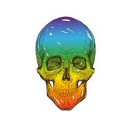 Skull hand drawn vector illustration