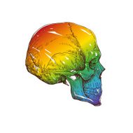 Skull hand drawn vector illustration N3