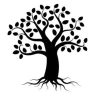 tree silhouette N67