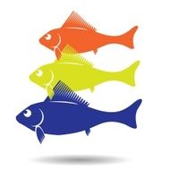Fish Symbol N6