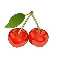 cherry N22