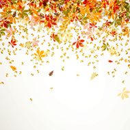 Vector autumn leaves N18