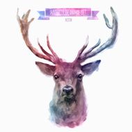 Vector set of watercolor illustrations Cute deer