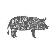 American cuts of pork vintage typographic hand-drawn butcher scheme