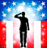 US flag military armed forces soldier silhouette saluting N2