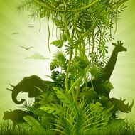 African Savannah N2