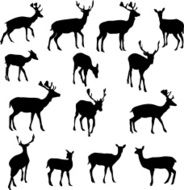 Deer N46