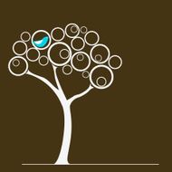 Bird on a tree N2