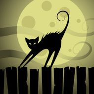 Black Cat N41