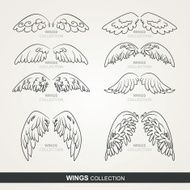 wings collection (set of