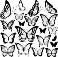 Butterflies Silhouettes N8