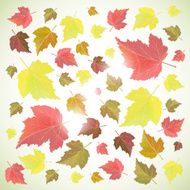 Autumn background with leaves N44