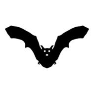 silhouette bat N2
