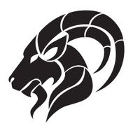 Capricorn Zodiac Sign N10