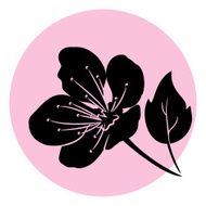 Sakura Circle