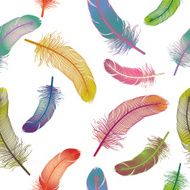Colorful feathers N2