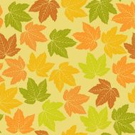 Leafs pattern N4