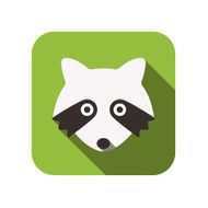 Raccoon aniaml face flat design