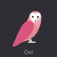Owl bird seriers