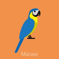 Blue Macaw bird seriers