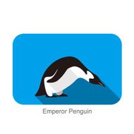 Emperor Penguin Penguin seed seriers N15