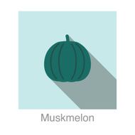 Muskmelon food and drink flat icon series N4