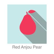 Red Anjou Pear food and drink flat icon series N2