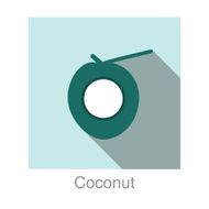 Coconut food and drink flat icon series N3