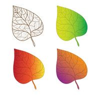 Collection colorful autumn leaves isolated