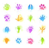 Stains Icons - Animal Tracks