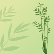 Bamboo Background N14