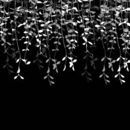 abstract leaves black and white color