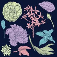 Set of vector tropical flowers N2