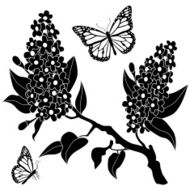 lilacs and monarch butterflies