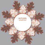 autumn leaf background N41