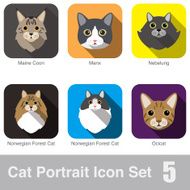 Cat breed face cartoon flat icon series N2