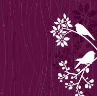 Birds Purple Background