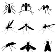 Insect Silhouette Collection N2