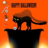 Halloween background with cat