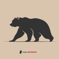 Brown Bear N6