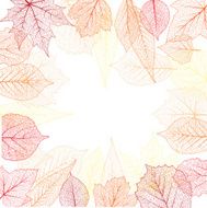 Autumn Frame N48