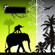 Summer holiday elephants