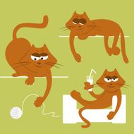 Funny cats N15