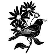 Baltimore oriole and black eyed susan