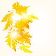Abstract autumn background Autumn Maple Tree - Illustration