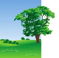 Summer landscape N26